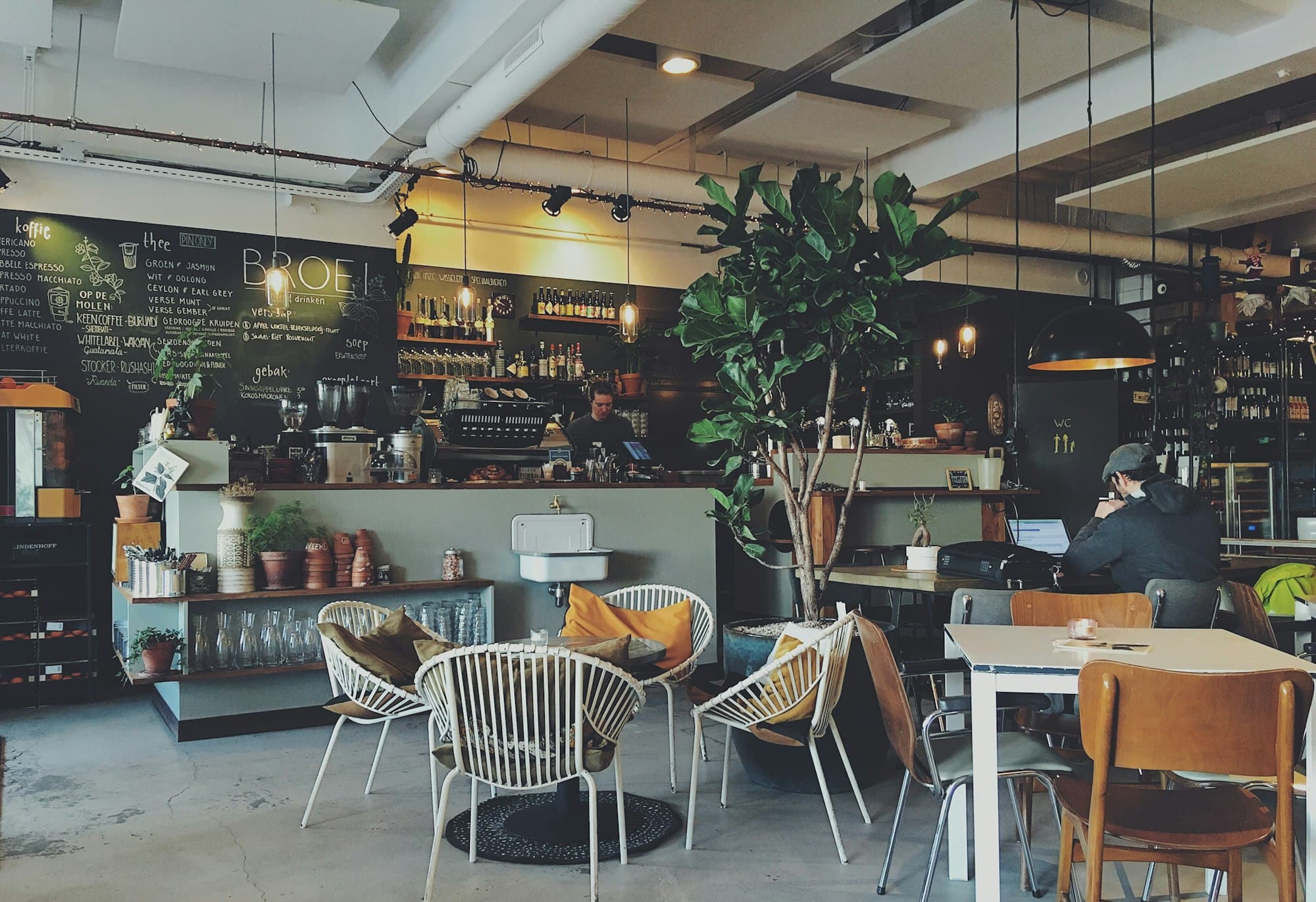 The cafe room in the morning: rattan chairs, a fig tree, and a tiled counter under warm light.